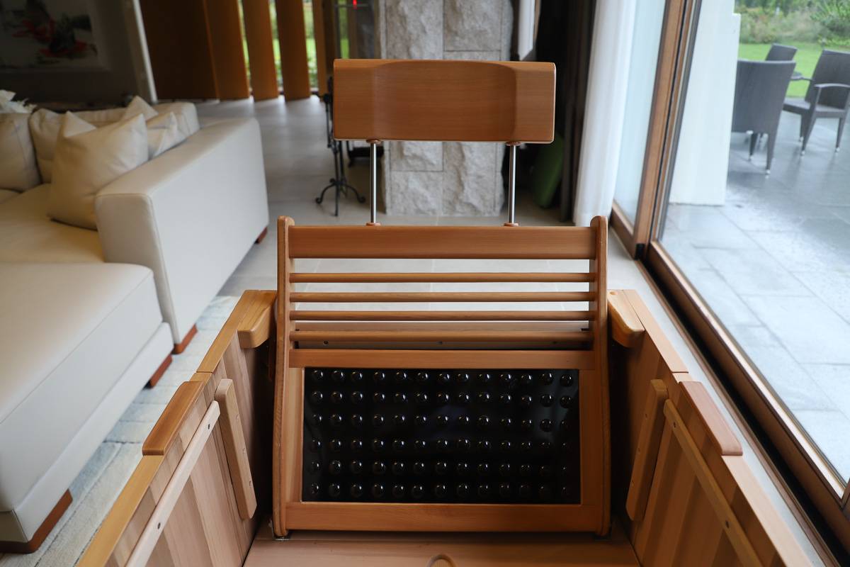 IMG_0500 Reclining Seat Back Essential Lounge Sauna