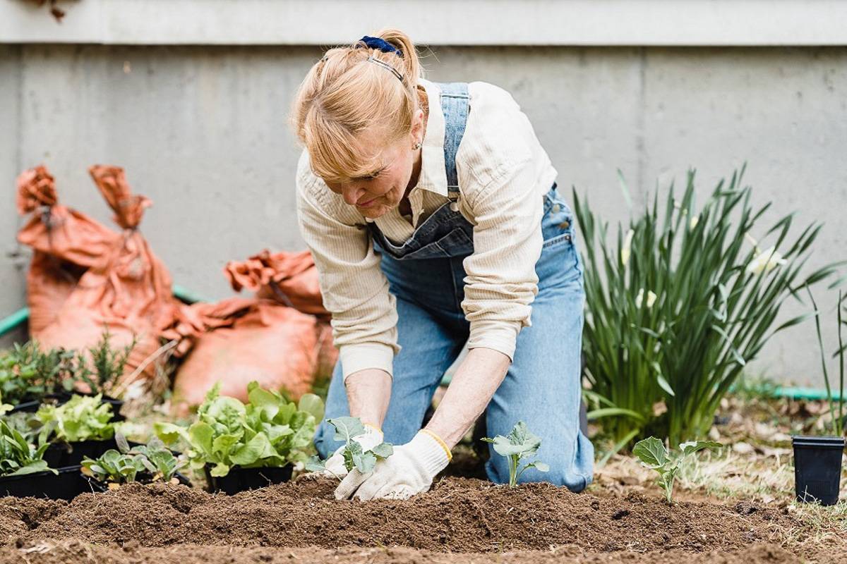 older woman on her knees planting seedlings in a garden